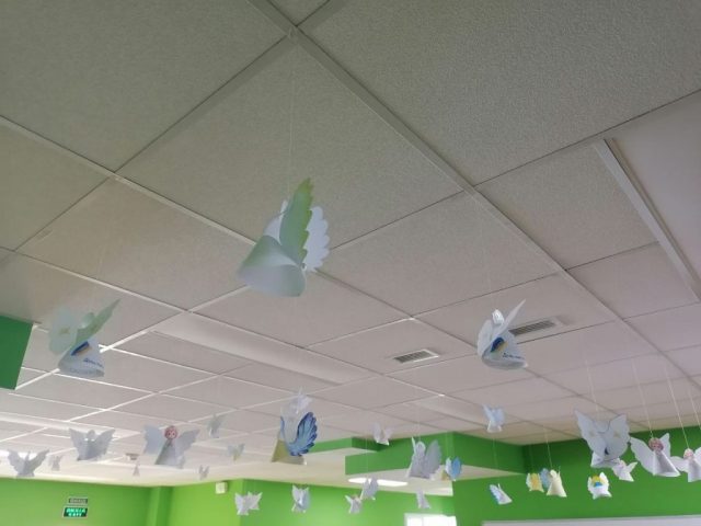 photo_2026-02-20_11-49-33